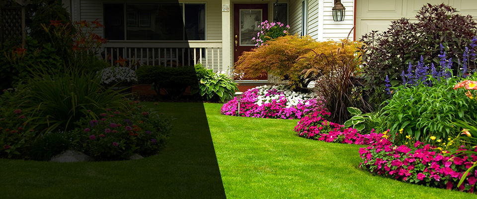 Stamford Landscapers