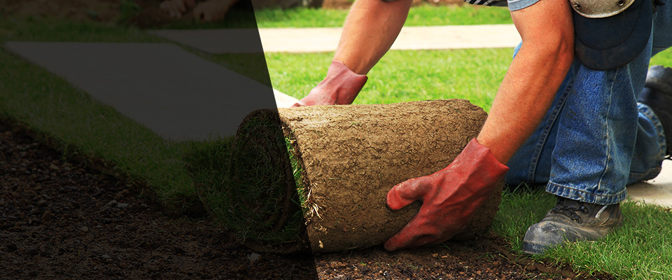 Stamford Landscapers